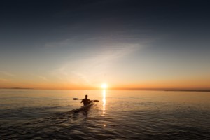 paddle-839814